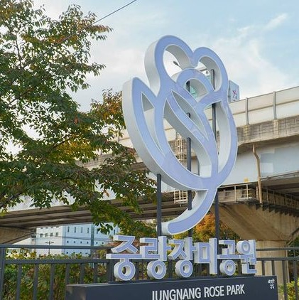 @seoulrosefestival