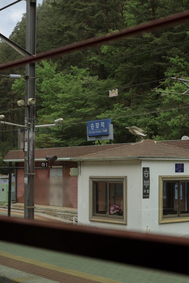 @솔레