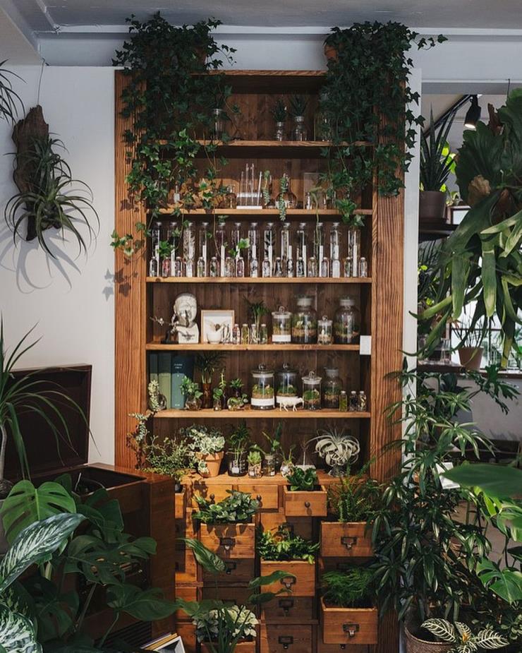 @slow_pharmacy 