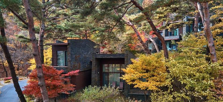 포레스트 리솜 @resom.resort