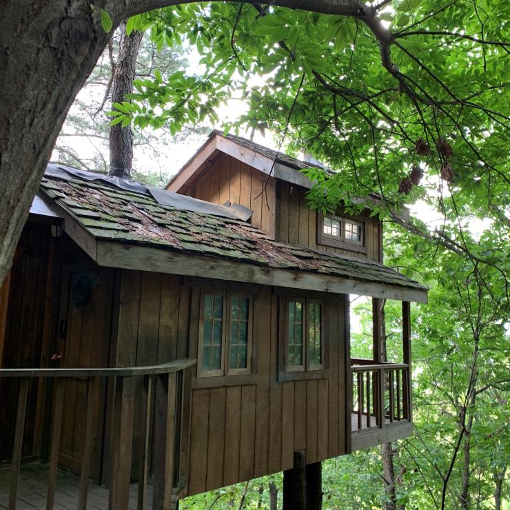 @treehouse_korea