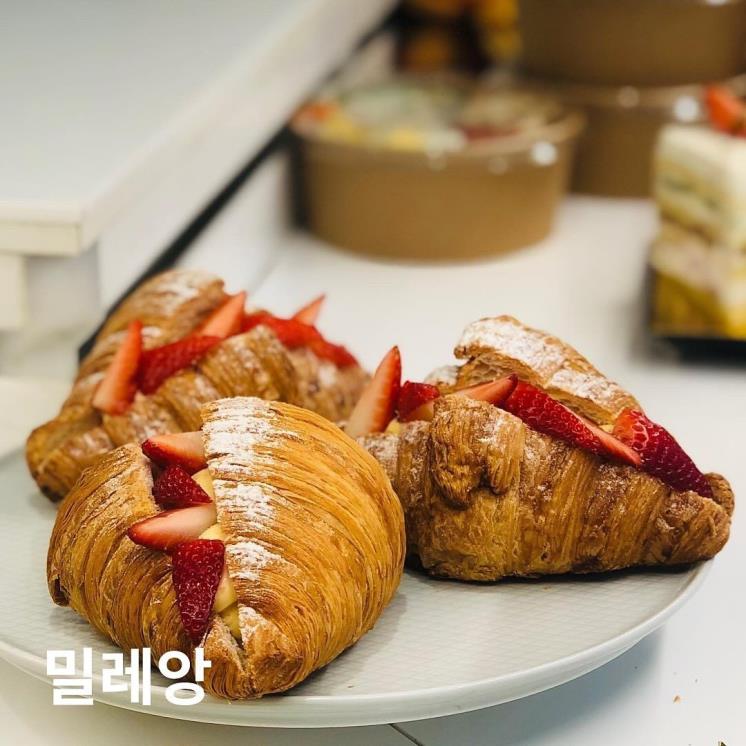 photo @각 브랜드 인스타
