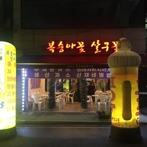 복숭아꽃 살구꽃