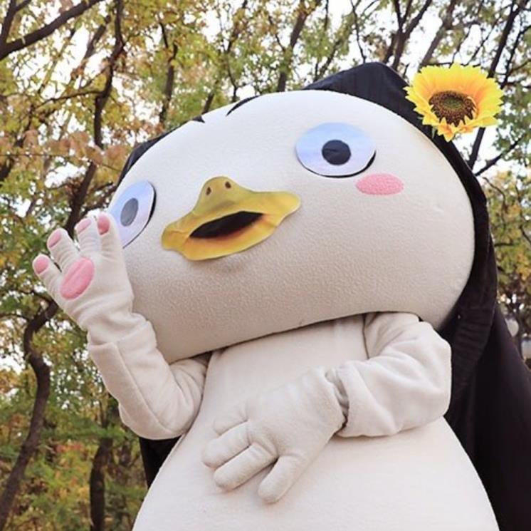 고양시청 인스타그램