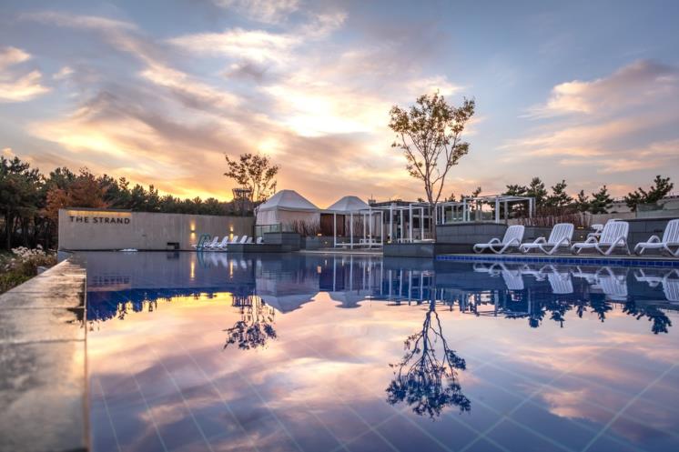@nest__hotel