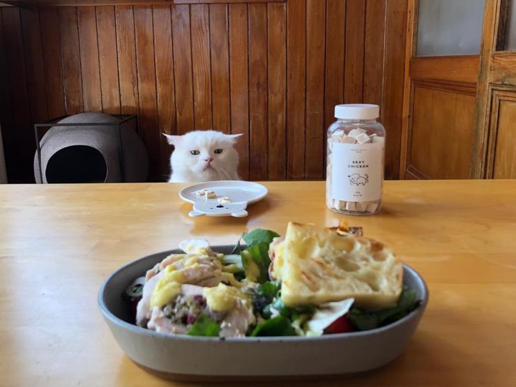 히끄 (@sina_heek)