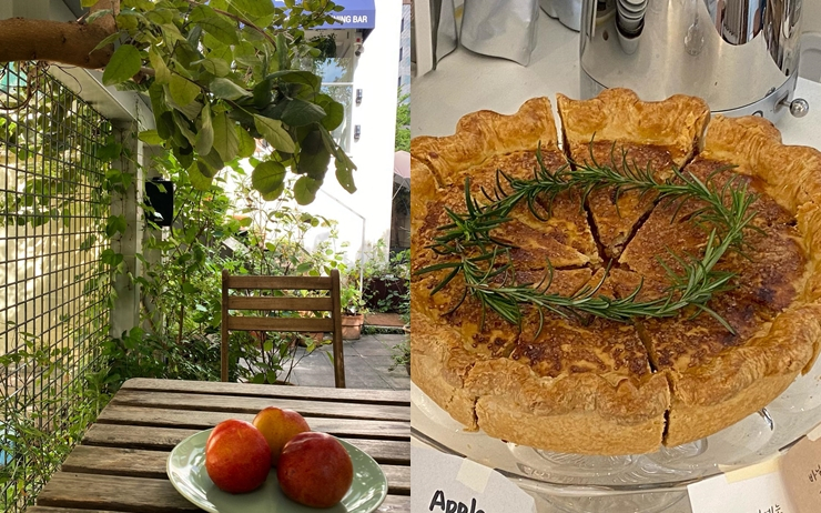 식물원 282(좌), 소장식물전(우)