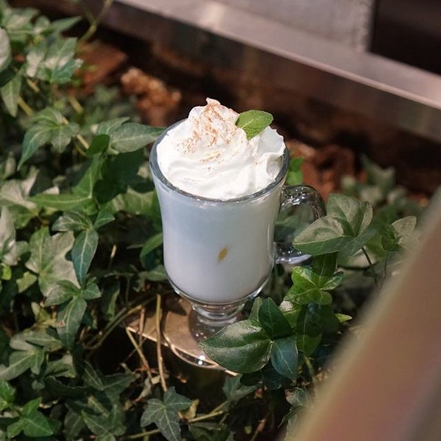 @osechill_cafe