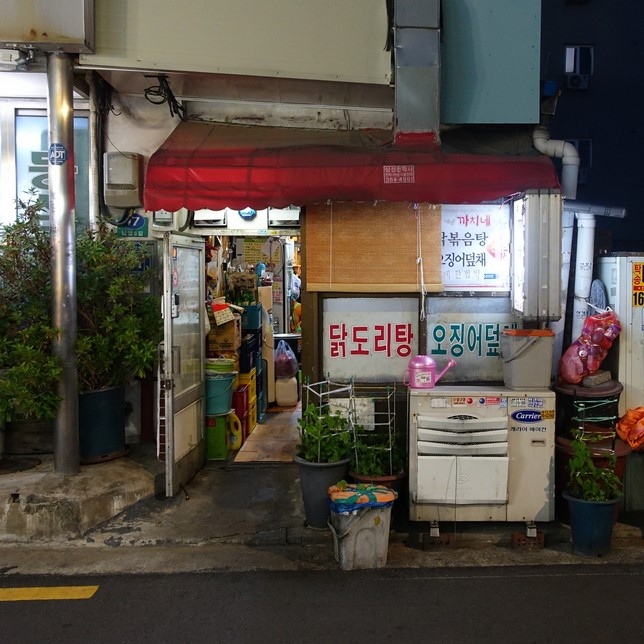 블로거 @puravida