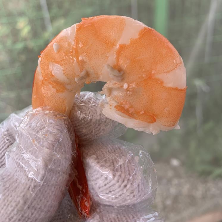 대하수산 외식공간