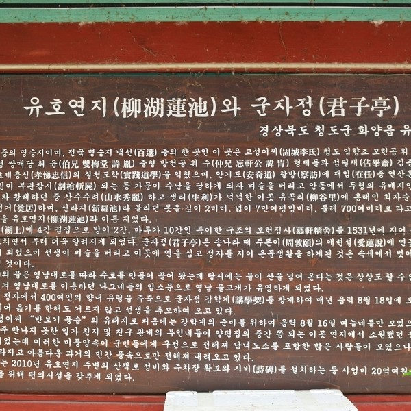 ⓒ청도군청 공식 블로그