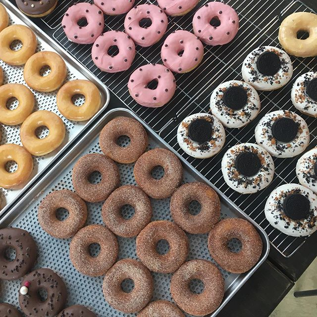@ottodonut