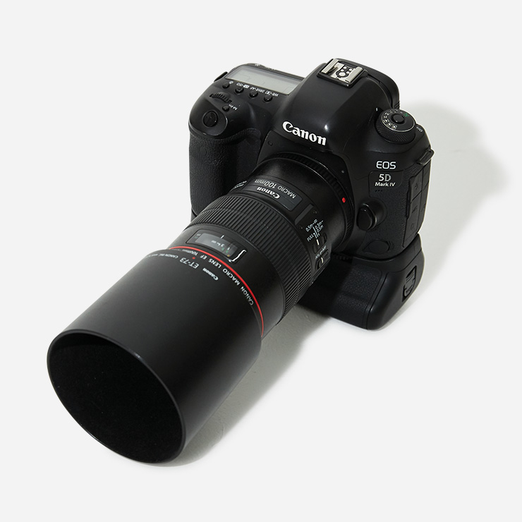 CANON EOS-5D MARK IV + EF 100mm