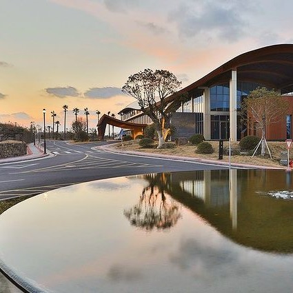 @camphortree_jeju