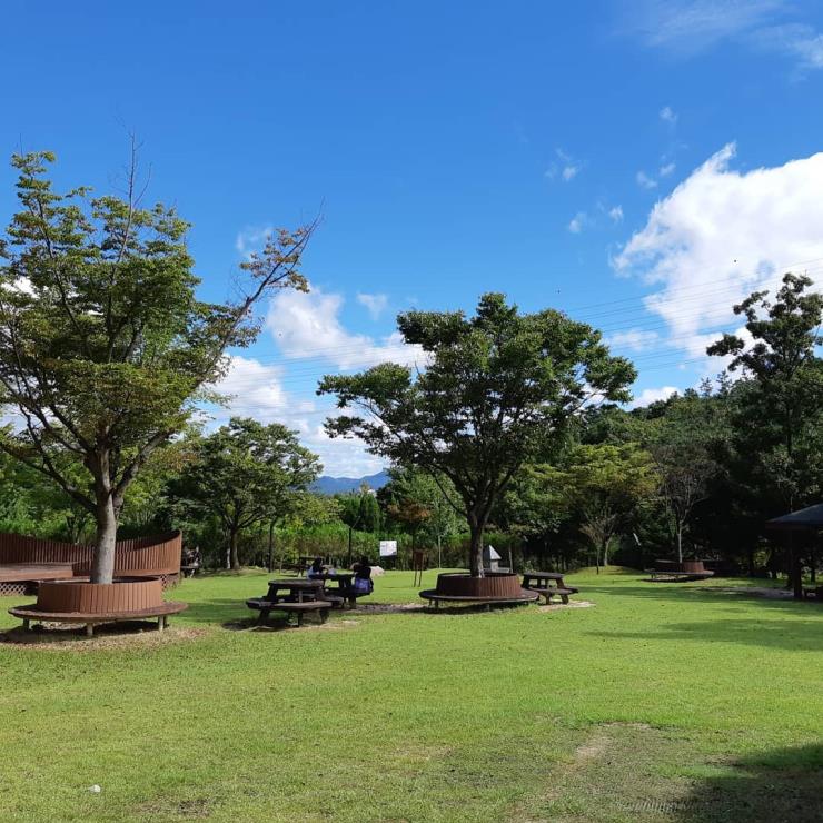 황학산수목원 @sclasto