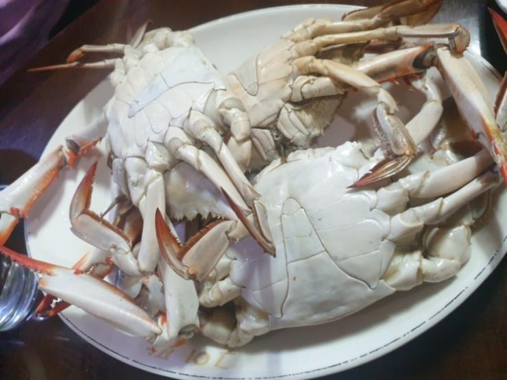 고흥집