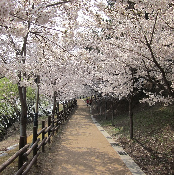 ⓒ울산시청