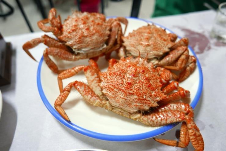 물보라다찌