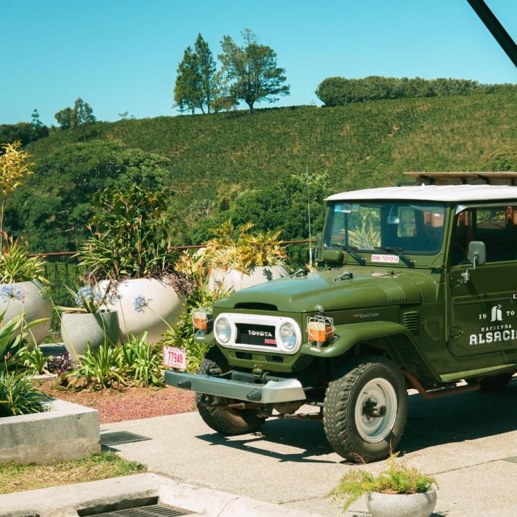 Costa Rican Coffee Farm Costa Rica @haciendaalsacia