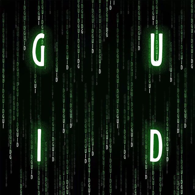 ⓒGUIDI