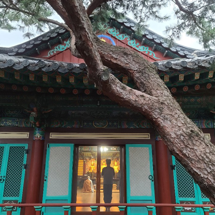금선사