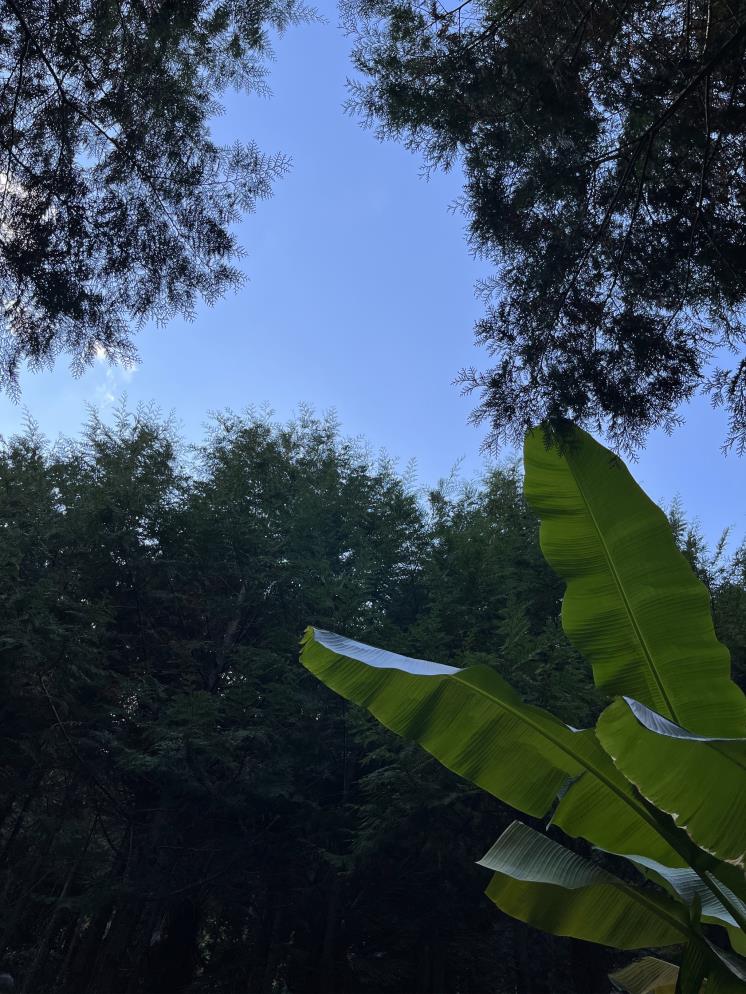 나폴리농원