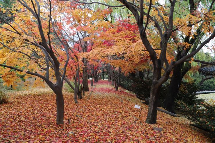 벽초지수목원 공식 웹사이트