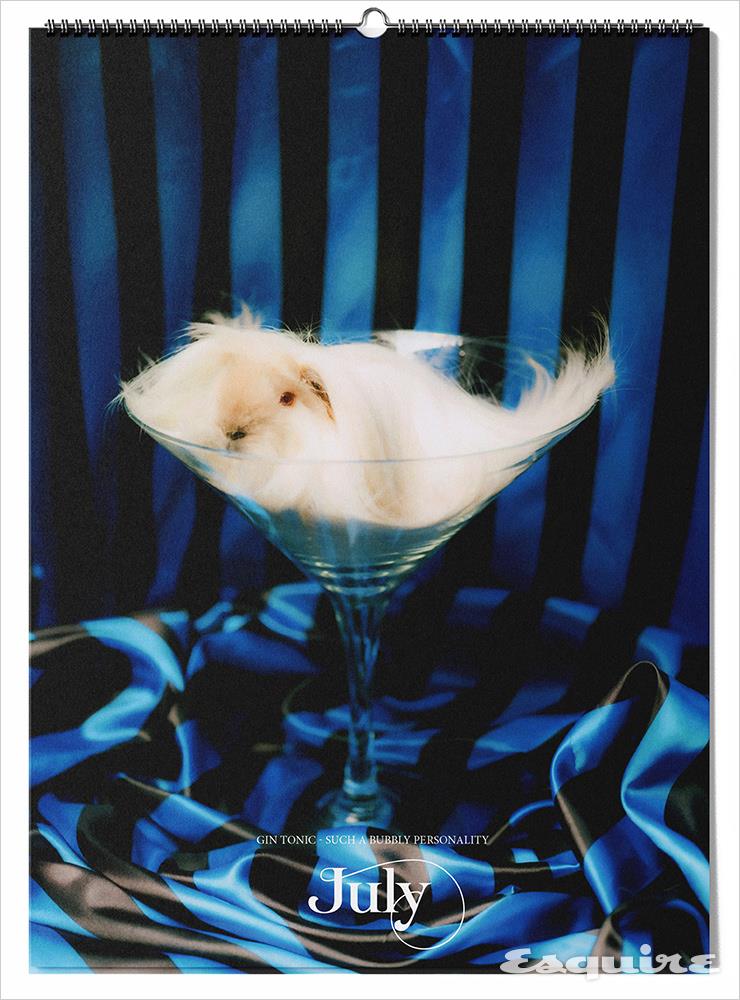 Pin-Up Guinea Pigs(2021)