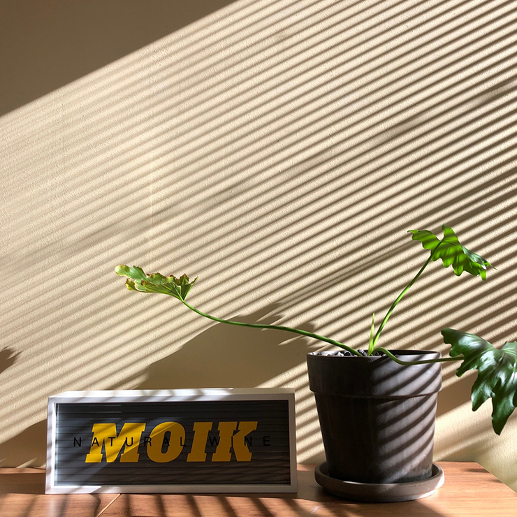 모이크