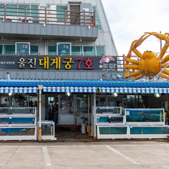 울진대게궁7호