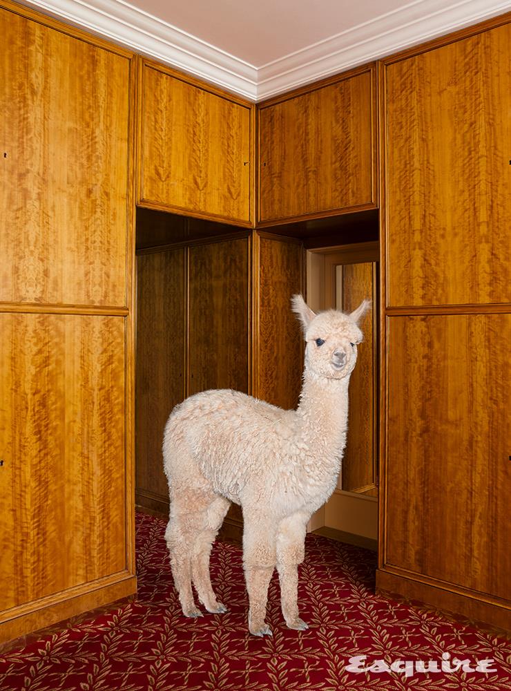 Better Living with Alpacas(2019)