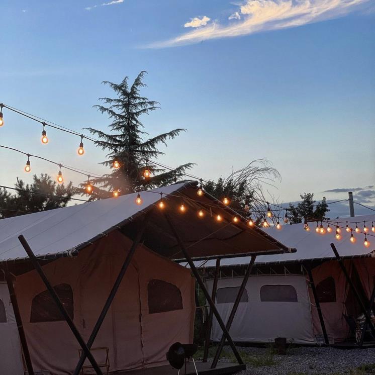 @glamp_cgsj