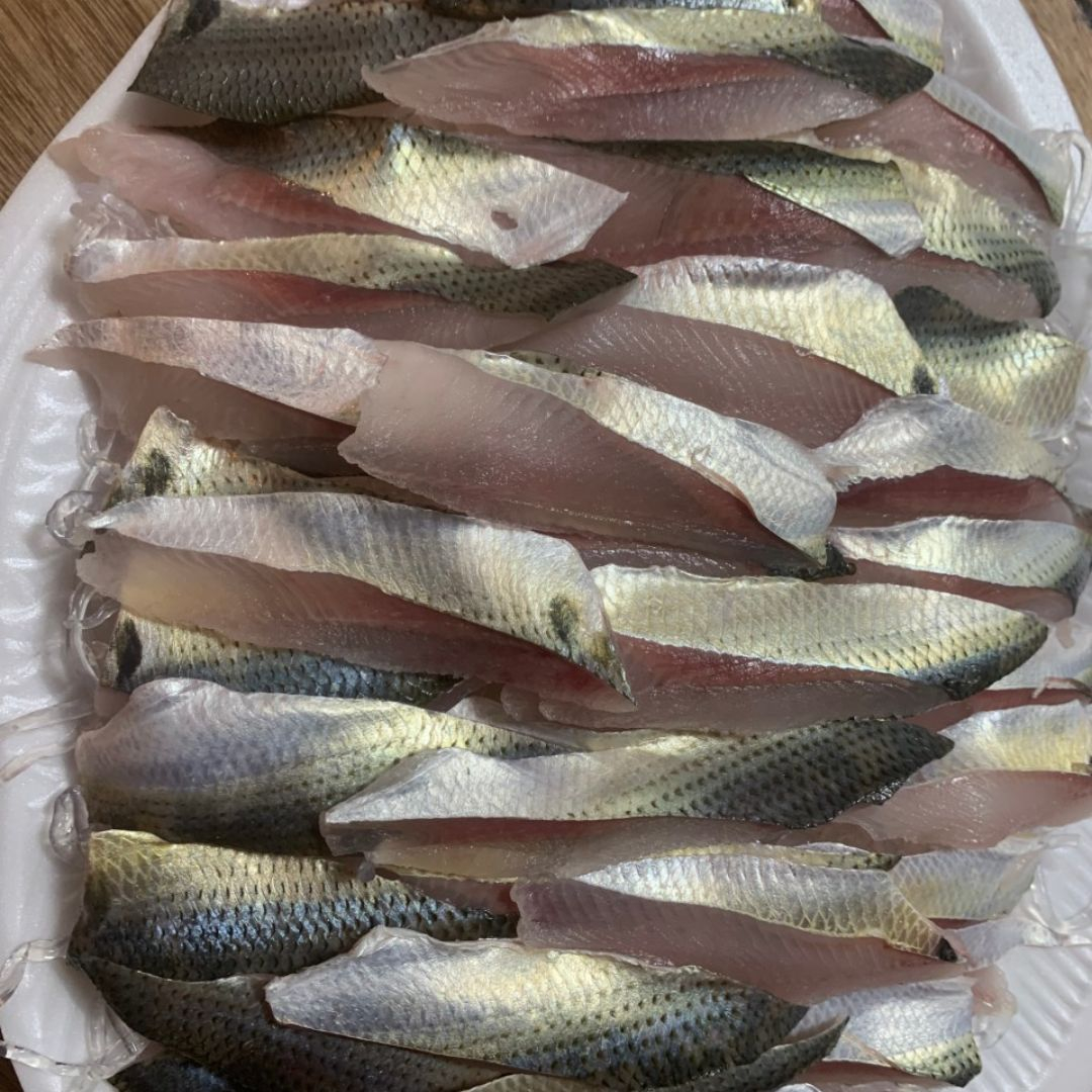 바다수다