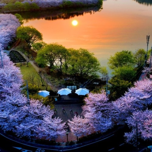 @seonam_lake_park 