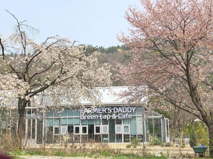 @farmersdaddy