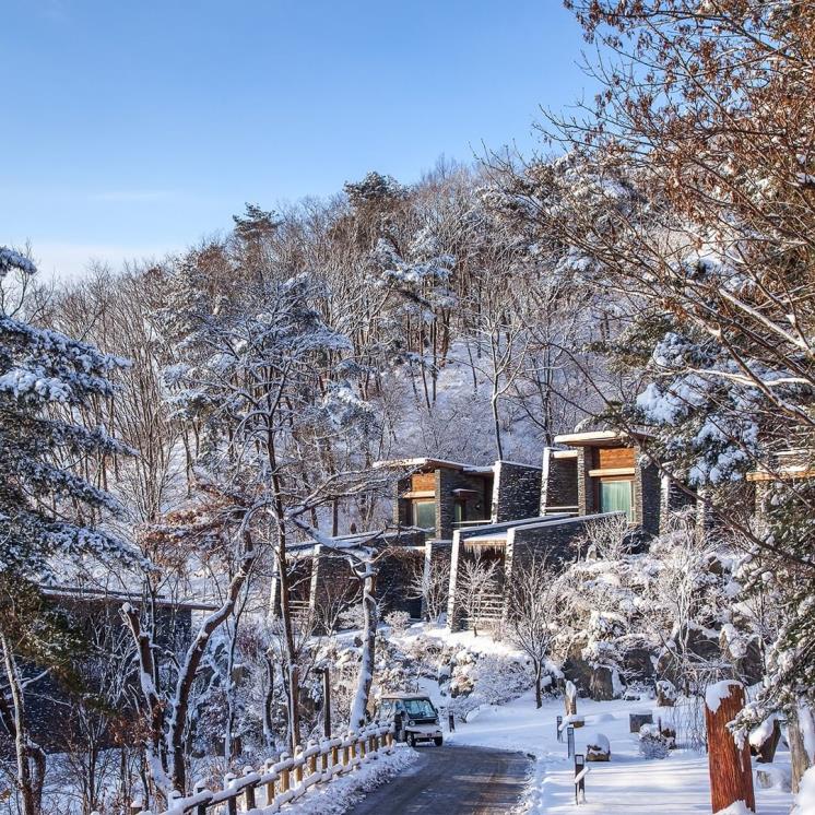 포레스트 리솜 @resom.resort