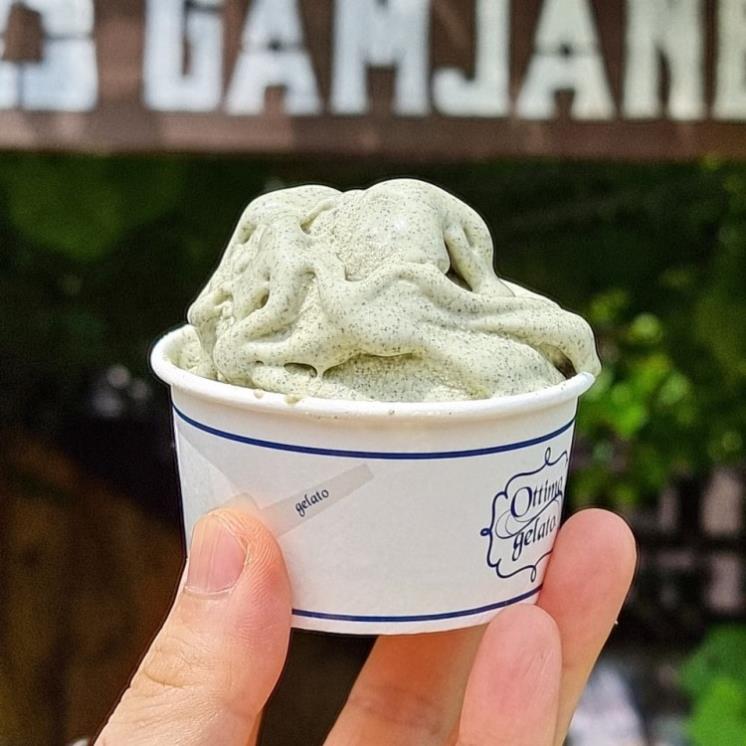 @pyeongchang_gamjane