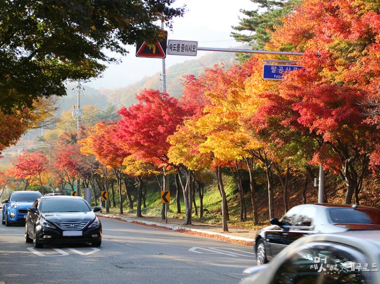 ⓒ대구시청 공식블로그