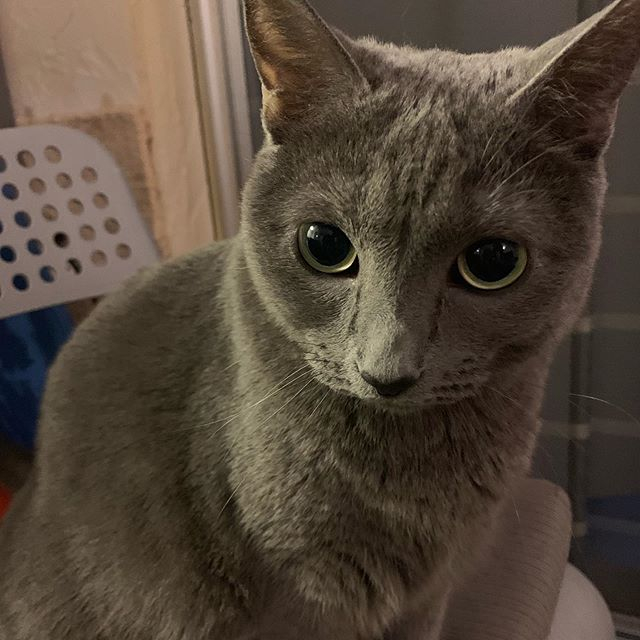 @jaeuck.kim