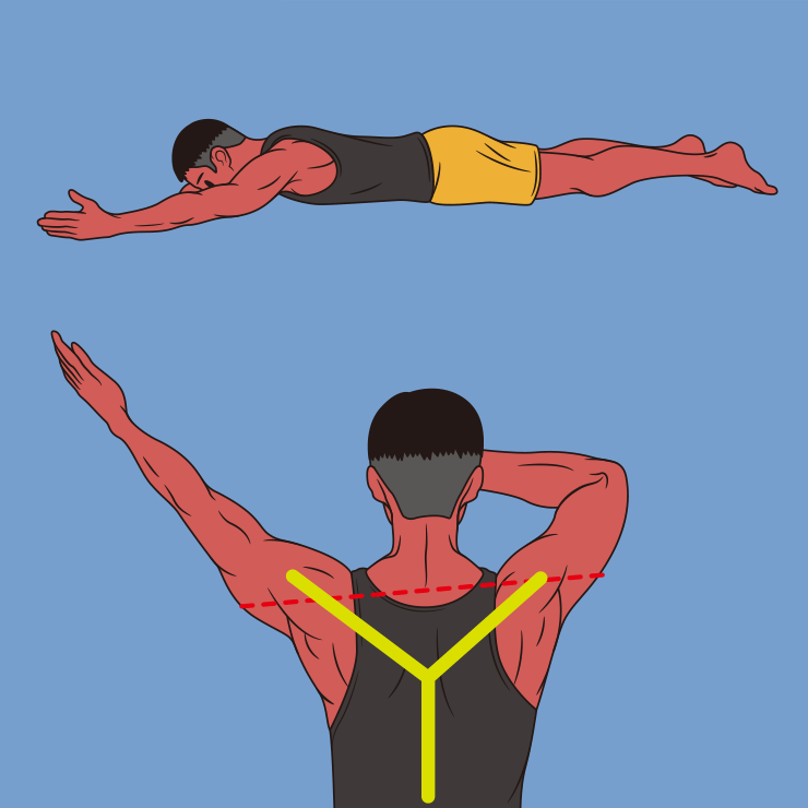 어깨 높이 교정운동