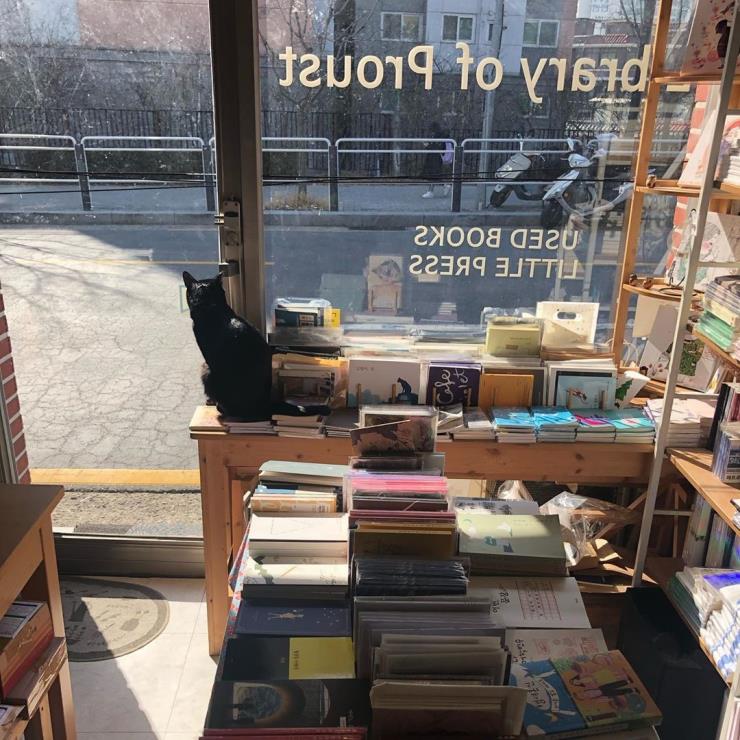 @library_of_proust