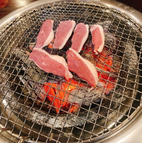 다키닥팜