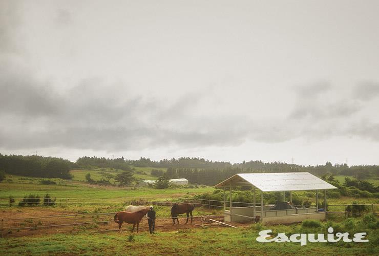 고향이, 비올라, 유니스, 지나가 지내는 마장의 모습. 유진은 두 아이가 유치원과 초등학교에 가 있는 낮 시간을 거의 대부분 마장에서 보내느라 얼굴이 새까맣게 탔다. 