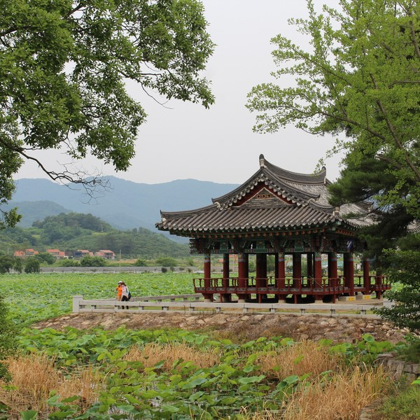 ⓒ청도군청 공식 블로그