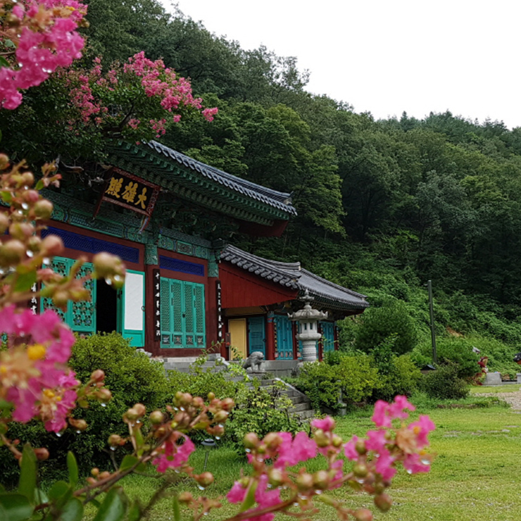 반야사