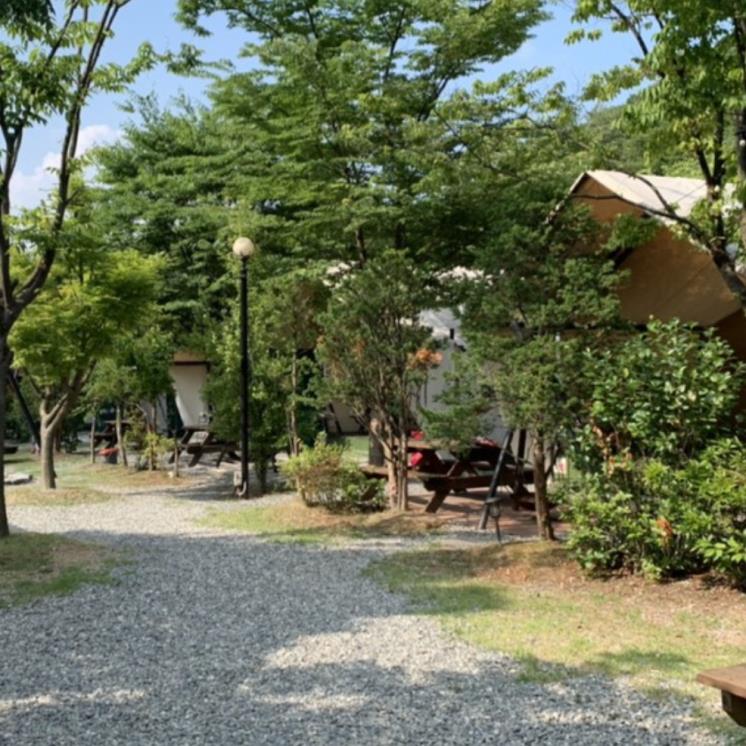 blog @hodu2425
