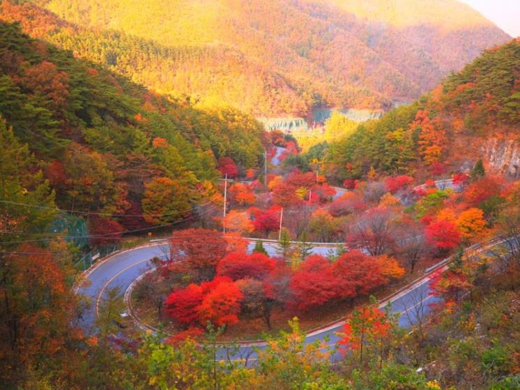 ⓒ충북도청 공식블로그