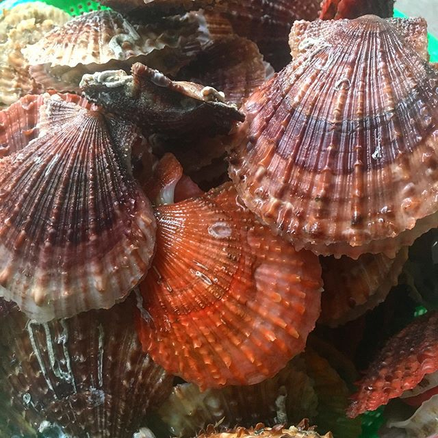 @cheongnyanghall