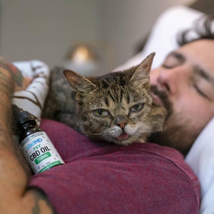 릴법 (@iamlilbub)