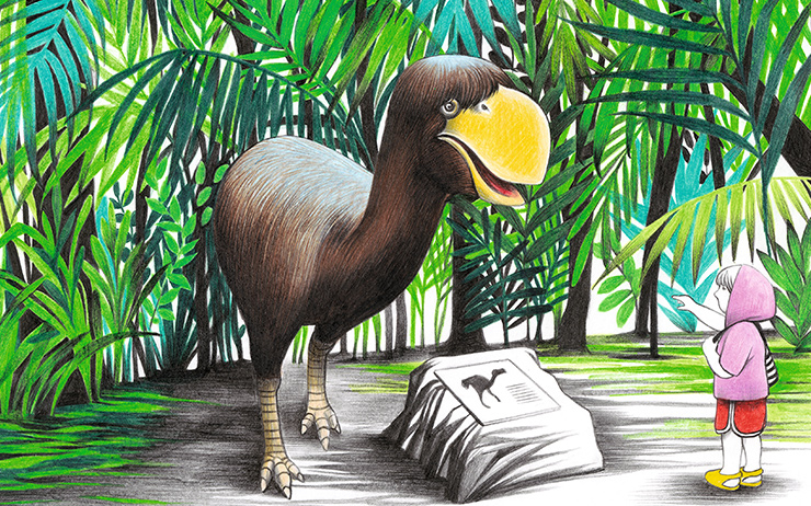 Bullockornis planei a.k.a “the demon duck of doom”, Daintree Discovery Centre.